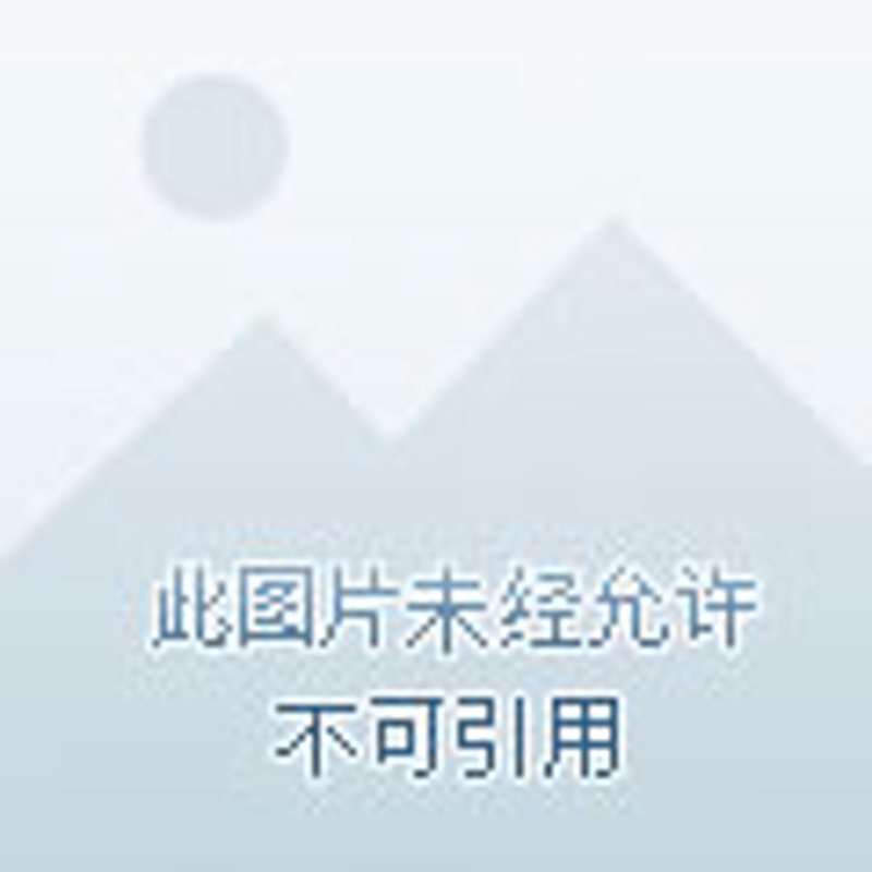 成为一名合格的劳动协调师需要满足哪些具体条件？今天我们就来详细了解一下劳动协调师三级的具体要求。