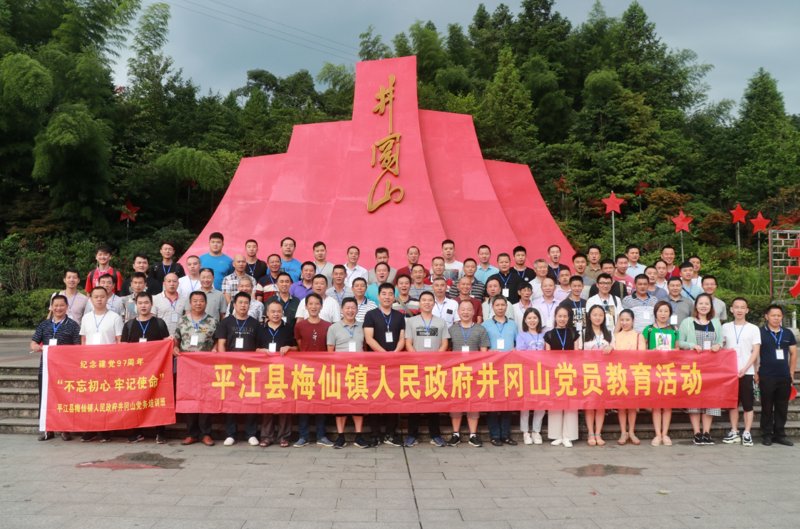 组织管理能力:从新手到高手的蜕变之路